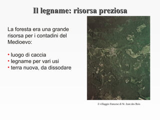 Il legname: risorsa preziosaIl legname: risorsa preziosa
La foresta era una grande
risorsa per i contadini del
Medioevo:
• luogo di caccia
• legname per vari usi
• terra nuova, da dissodare
il villaggio francese di St. Jean des Bois
 