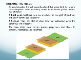 WORKING THE FIELDS
To avoid depleting the soil, peasants rotated their crops. First they used a
two-crop system, then a three-crop system. In both cases, part of the land
was left fallow:
First year: fertilisers were not available, so one plot of land was
left fallow for the soil to recover
Second year: the plot of fallow land was cultivated, while the
other was left to recover
The main crops were cereals, pulses, grapevines and olives. In
gardens, vegetables and fruit trees
 
