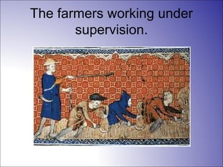 The farmers working under
supervision.
 