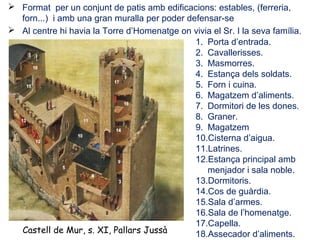  Format per un conjunt de patis amb edificacions: estables, (ferreria,
forn...) i amb una gran muralla per poder defensar-se
 Al centre hi havia la Torre d’Homenatge on vivia el Sr. I la seva família.
1. Porta d’entrada.
2. Cavallerisses.
3. Masmorres.
4. Estança dels soldats.
5. Forn i cuina.
6. Magatzem d’aliments.
7. Dormitori de les dones.
8. Graner.
9. Magatzem
10.Cisterna d’aigua.
11.Latrines.
12.Estança principal amb
menjador i sala noble.
13.Dormitoris.
14.Cos de guàrdia.
15.Sala d’armes.
16.Sala de l’homenatge.
17.Capella.
18.Assecador d’aliments.Castell de Mur, s. XI, Pallars Jussà
 