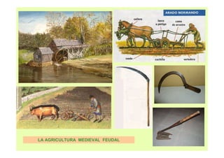 LA AGRICULTURA MEDIEVAL FEUDAL 
 