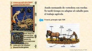 Carmen Águila, Historia, 2º ESO
 