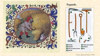 Carmen Águila, Historia, 2º ESO
 