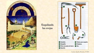 Carmen Águila, Historia, 2º ESO
 