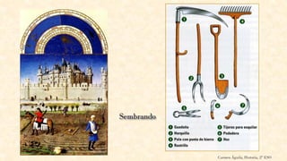 Carmen Águila, Historia, 2º ESO
 