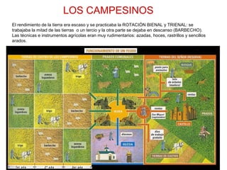 El rendimiento de la tierra era escaso y se practicaba la ROTACIÓN BIENAL y TRIENAL: se
trabajaba la mitad de las tierras o un tercio y la otra parte se dejaba en descanso (BARBECHO).
Las técnicas e instrumentos agrícolas eran muy rudimentarios: azadas, hoces, rastrillos y sencillos
arados.
LOS CAMPESINOS
 
