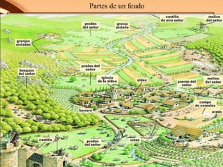 Partes de un feudo
 