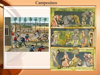 Campesinos
 