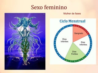 Sexo feminino
Sexo feminino
Mulher de fases
 