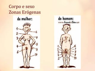 Corpo e sexo
Zonas Erógenas
 