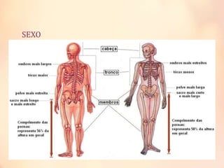 SEXO
 