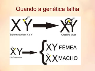 Quando a genética falha
 