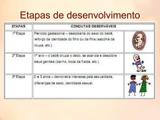 Etapas de desenvolvimento
 