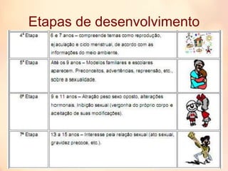 Etapas de desenvolvimento
 