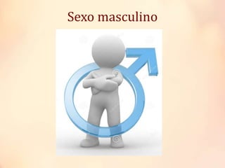 Sexo masculino
 