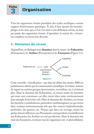 12
Fiche
3 Organisation
Tous les organismes vivants possèdent des acides nucléiques comme
support d’information génétique. À cela, il faut ajouter les bactério-
phages et les virus qui, si l’on s’en tient à une définition stricte, ne font
pas partie des organismes vivants. Cependant, la notion du « vivant »
est complexe et encore très discutée.
1. Domaines du vivant
Aujourd’hui, on distingue trois domaines dans le vivant : les Eubactéries
(Procaryotes), les Archées (Procaryotes) et les Eucaryotes (Figure 3.1).
Figure 3.1
Origine de la vie LUCA
Eubactéries
Archées
Eucaryotes
(Last Universal
Common
Ancestor)
Cette nouvelle « classification » qui date du début des années 2000 est
parfaitement admise par la communauté scientifique. Certaines notions
(le règne) ou certains groupes (protozoaires, invertébrés, etc.) n’existent
plus. Dans le domaine des Eubactéries, on trouve toutes les bactéries
qui nous sont communes car elles vivent dans notre environnement
(par exemple Escherichia coli). Dans le domaine des Archées, on trouve
des bactéries à métabolismes particuliers (méthanogènes) ou qui vivent
dans certains environnements tels que des sources hydrothermales
profondes, des geysers, etc. Notons que dans cet ouvrage, toutes les
parties faisant références aux Procaryotes correspondent essentiellement
aux Eubacteries, les Archées ne sont pas décrites. Dans le domaine très
vaste des Eucaryotes, on trouve tous les organismes uni- et pluricellulaires
 