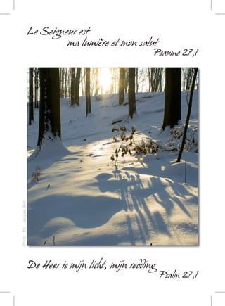 De Heer is mijn licht, mijn redding
Psalm 27,1
Le Seigneur est
ma lumière et mon salut
Psaume 27,1
Photo/foto:JacquesBihin
 