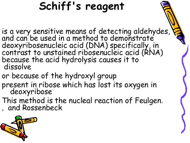 What is Schiff's reagent?