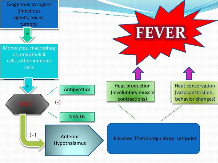 Fever