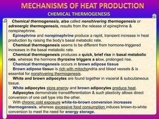 Chemical thermogenesis, also called nonshivering thermogenesis or
adrenergic thermogenesis, results from the release of epinephrine &
norepinephrine.
Epinephrine and norepinephrine produce a rapid, transient increase in heat
production by raising the body’s basal metabolic rate.
Chemical thermogenesis seems to be different from hormone-triggered
increases in the basal metabolic rate.
Chemical thermogenesis produces a quick, brief rise in basal metabolic
rate, whereas the hormone thyroxine triggers a slow, prolonged rise.
Chemical thermogenesis occurs in brown adipose tissue.
Brown adipose tissue is rich with mitochondria and blood vessels & is
essential for nonshivering thermogenesis.
White and brown adipocytes are found together in visceral & subcutaneous
tissue.
White adipocytes store energy and brown adipocytes produce heat.
Adipocytes demonstrate transdifferentiation & such plasticity allows direct
conversion of one cell type into the other.
With chronic cold exposure white-to-brown conversion increases
thermogenesis, whereas excessive food consumption induces brown-to-white
conversion to meet the need for energy storage..
 