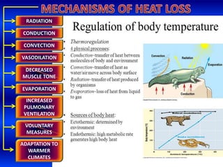 RADIATION
CONDUCTION
CONVECTION
VASODILATION
DECREASED
MUSCLE TONE
EVAPORATION
INCREASED
PULMONARY
VENTILATION
VOLUNTARY
MEASURES
ADAPTATION TO
WARMER
CLIMATES
 