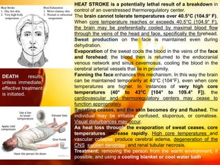 HEAT STROKE is a potentially lethal result of a breakdown in
control of an overstressed thermoregulatory center.
The brain cannot tolerate temperatures over 40.5°C (104.9° F).
When core temperature reaches or exceeds 40.5°C (104.9° F),
the brain may be preferentially cooled by maximal blood flow
through the veins of the head and face, specifically the forehead.
Sweat production on the face is maintained even during
dehydration.
Evaporation of the sweat cools the blood in the veins of the face
and forehead; the blood then is returned to the endocranial
venous network and sinus cavernosus, cooling the blood in the
cerebral arterial vessels that lie in proximity.
Fanning the face enhances this mechanism. In this way the brain
can be maintained temporarily at 40°C (104°F), even when core
temperatures are higher. In instances of very high core
temperatures (40° to 43°C [104° to 109.4° F]), the
cardiovascular and thermoregulatory centers may cease to
function appropriately.
Sweating ceases, and the skin becomes dry and flushed. The
individual may be irritable, confused, stuporous, or comatose.
Visual disturbances may occur.
As heat loss through the evaporation of sweat ceases, core
temperatures increase rapidly. High core temperatures and
vascular collapse produce cerebral edema, degeneration of the
CNS, swollen dendrites, and renal tubular necrosis.
Treatment: removing the person from the warm environment, if
possible, and using a cooling blanket or cool water bath.
DEATH results
unless immediate,
effective treatment
is initiated.
 