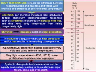 EXERCISE can increase metabolic heat production
10-fold. Thankfully, thermoregulatory responses
such as sweating simultaneously increase heat loss,
and thus keep body temperature from rising
dangerously high.
Shivering increases metabolic heat production.
BODY TEMPERATURE reflects the difference between
heat production and heat loss and varies with
exercise and extremes of environmental temperature.
ICE CRYSTALS can form in tissues exposed to very
cold and damp ambient temperatures.
The failure to adequately manage heat production
and/or loss results in devastating consequences.
Very high temperatures (+45°C, 113° F) cause
proteins to coagulate and/or aggregate.
Systemic changes in body temperature can be
equally devastating, leading to tissue damage, organ
failure, coma, and even death.
 
