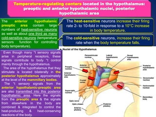 Temperature-regulating centers located in the hypothalamus:
preoptic and anterior hypothalamic nuclei, posterior
hypothalamic area
The anterior hypothalamic
preoptic area contain large
numbers of heat-sensitive neurons
as well as about one third as many
cold-sensitive neurons (temperature
sensors function for controlling
body temperature).
The heat-sensitive neurons increase their firing
rate 2- to 10-fold in response to a 10°C increase
in body temperature.
The cold-sensitive neurons, increase their firing
rate when the body temperature falls.
Even though many °t sensory signals
arise in peripheral receptors, these
signals contribute to body °t control
mainly through the hypothalamus.
The area of the hypothalamus that they
stimulate is located bilaterally in the
posterior hypothalamus approximately
at the level of the mammillary bodies.
The °t sensory signals from the
anterior hypothalamic-preoptic area
are also transmitted into this posterior
hypothalamic area. Here the signals
from the preoptic area & the signals
from elsewhere in the body are
combined & integrated to control the
heat-producing & heat-conserving
reactions of the body.
 