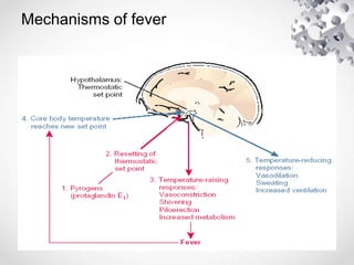 Mechanisms of fever
 