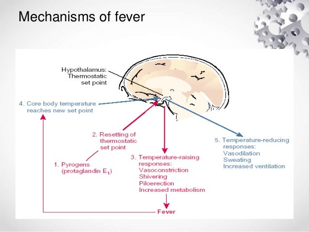 Fever ppt by DR GIRISH JAIN