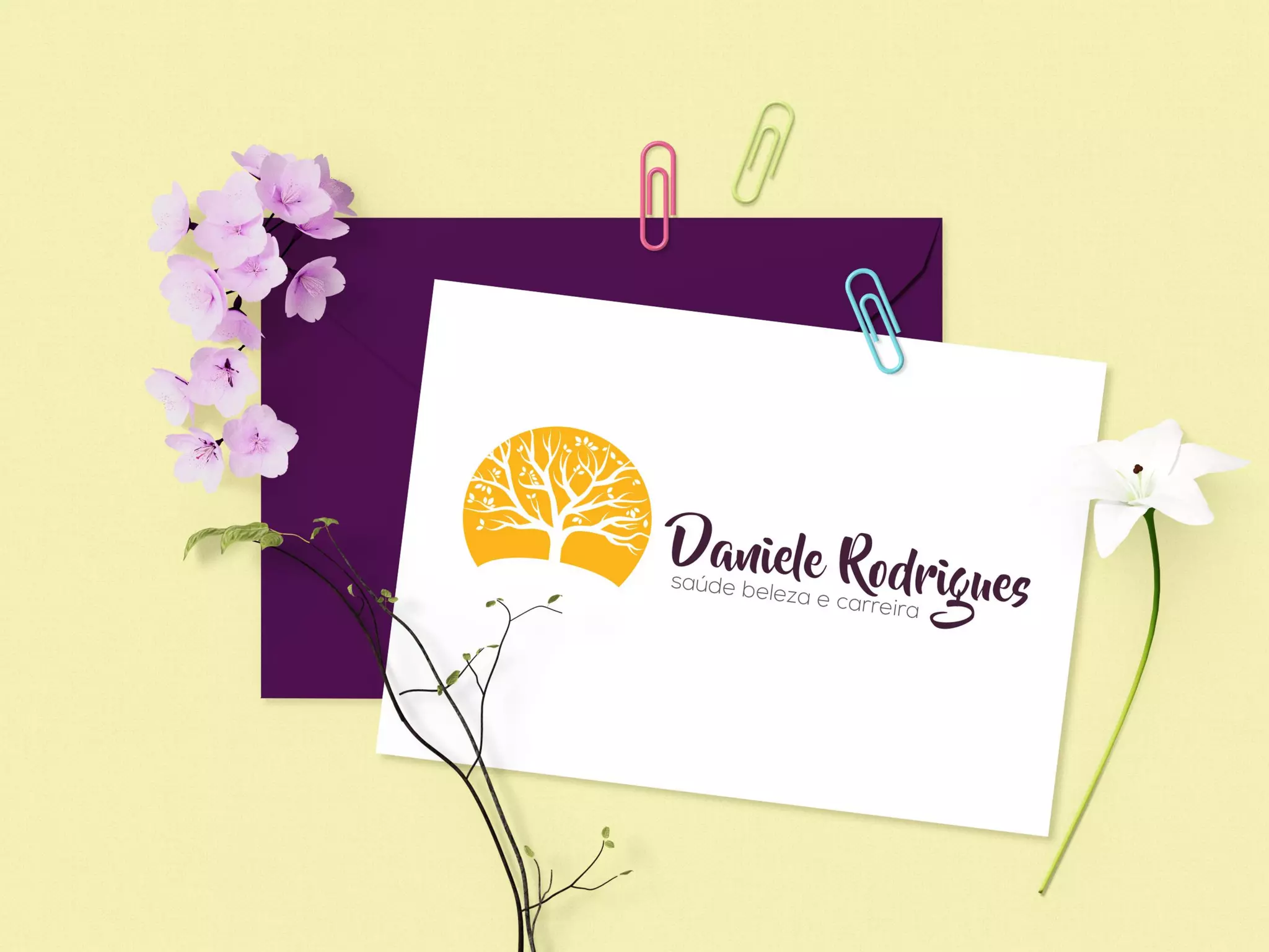 Vagas mês de Fevereiro/2017