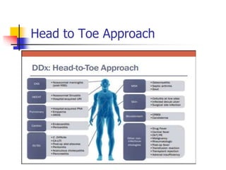 Head to Toe Approach
 
