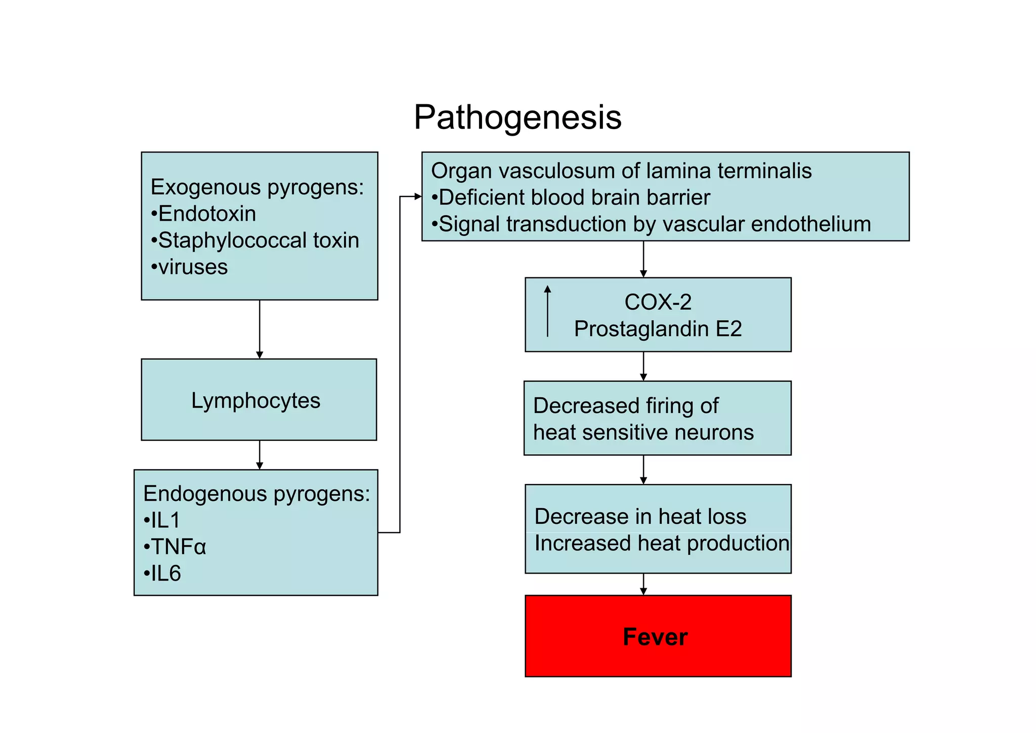 Fever in icu by dr. armaan singh | PDF