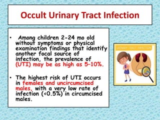 Occult Urinary Tract Infection
• Among children 2-24 mo old
without symptoms or physical
examination findings that identify
another focal source of
infection, the prevalence of
(UTI) may be as high as 5–10%.
• The highest risk of UTI occurs
in females and uncircumcised
males, with a very low rate of
infection (<0.5%) in circumcised
males.
 