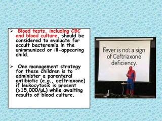  Blood tests, including CBC
and blood culture, should be
considered to evaluate for
occult bacteremia in the
unimmunized or ill-appearing
child.
 One management strategy
for these children is to
administer a parenteral
antibiotic (e.g., ceftriaxone)
if leukocytosis is present
(≥15,000/μL) while awaiting
results of blood culture.
 