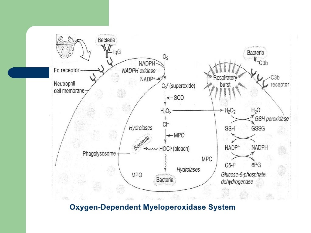 Fever Of Unknown Origin