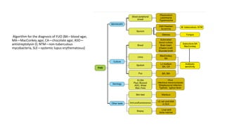 Fever of Unknown Origin etiological and noninfectious types.pdf
