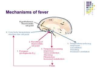 Fever- pathophysiology , patterns, types of fuo.ppt
