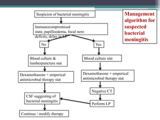Management
algorithm for
suspected
bacterial
meningitis

Suspicion of bacterial meningitis
Immunocompromised
state, papilloedema, focal nero
deficits, delay in LP
No

Blood culture &
lumberpuncture stat
Dexamethasone + emperical
antimicrobial therapy stat

Yes

Blood culture stat

Dexamethasone + emperical
antimicrobial therapy stat
Negative CT

CSF suggesting of
bacterial meningitis
Continue / modify therapy

Perform LP

 