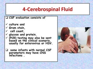 Fever Without a Focus in the Neonate.pptx