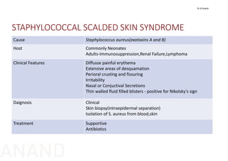 STAPHYLOCOCCAL SCALDED SKIN SYNDROME  
Cause Staphylococcus aureus(exotoxins A and B)
Host Commonly Neonates
Adults‐Immunosuppression,Renal Failure,Lymphoma
Clinical Features Diffusse painful erythema
Extensive areas of desquamation
Perioral crusting and fissuring 
Irritability
Nasal or Conjuctival Secretions
Thin walled fluid filled blisters ‐ positive for Nikolsky's sign
Daignosis Clinical
Skin biopsy(intraepidermal separation)
Isolation of S. aureus from blood,skin
Treatment Supportive
Antibiotics
Dr N Anand
ANAND
 