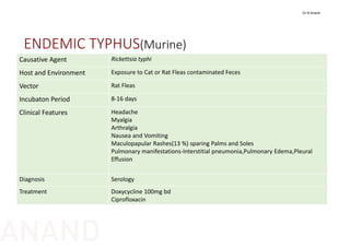 ENDEMIC TYPHUS(Murine)
Causative Agent Rickettsia typhi
Host and Environment Exposure to Cat or Rat Fleas contaminated Feces
Vector Rat Fleas 
Incubaton Period 8‐16 days
Clinical Features Headache
Myalgia
Arthralgia
Nausea and Vomiting
Maculopapular Rashes(13 %) sparing Palms and Soles
Pulmonary manifestations‐Interstitial pneumonia,Pulmonary Edema,Pleural
Effusion
Diagnosis Serology
Treatment Doxycycline 100mg bd
Ciprofloxacin
Dr N Anand
ANAND
 