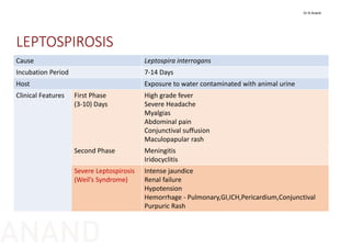 LEPTOSPIROSIS
Cause Leptospira interrogans
Incubation Period 7‐14 Days
Host Exposure to water contaminated with animal urine
Clinical Features First Phase
(3‐10) Days
High grade fever
Severe Headache
Myalgias
Abdominal pain
Conjunctival suffusion 
Maculopapular rash
Second Phase Meningitis
Iridocyclitis
Severe Leptospirosis
(Weil’s Syndrome)
Intense jaundice
Renal failure
Hypotension
Hemorrhage ‐ Pulmonary,GI,ICH,Pericardium,Conjunctival
Purpuric Rash
Dr N Anand
ANAND
 