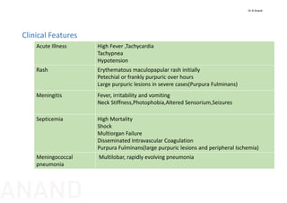 Clinical Features
Acute Illness High Fever ,Tachycardia
Tachypnea
Hypotension
Rash Erythematous maculopapular rash initially    
Petechial or frankly purpuric over hours
Large purpuric lesions in severe cases(Purpura Fulminans)
Meningitis Fever, irritability and vomiting
Neck Stiffness,Photophobia,Altered Sensorium,Seizures
Septicemia High Mortality
Shock
Multiorgan Failure
Disseminated Intravascular Coagulation
Purpura Fulminans(large purpuric lesions and peripheral Ischemia)
Meningococcal 
pneumonia
Multilobar, rapidly evolving pneumonia
Dr N Anand
ANAND
 