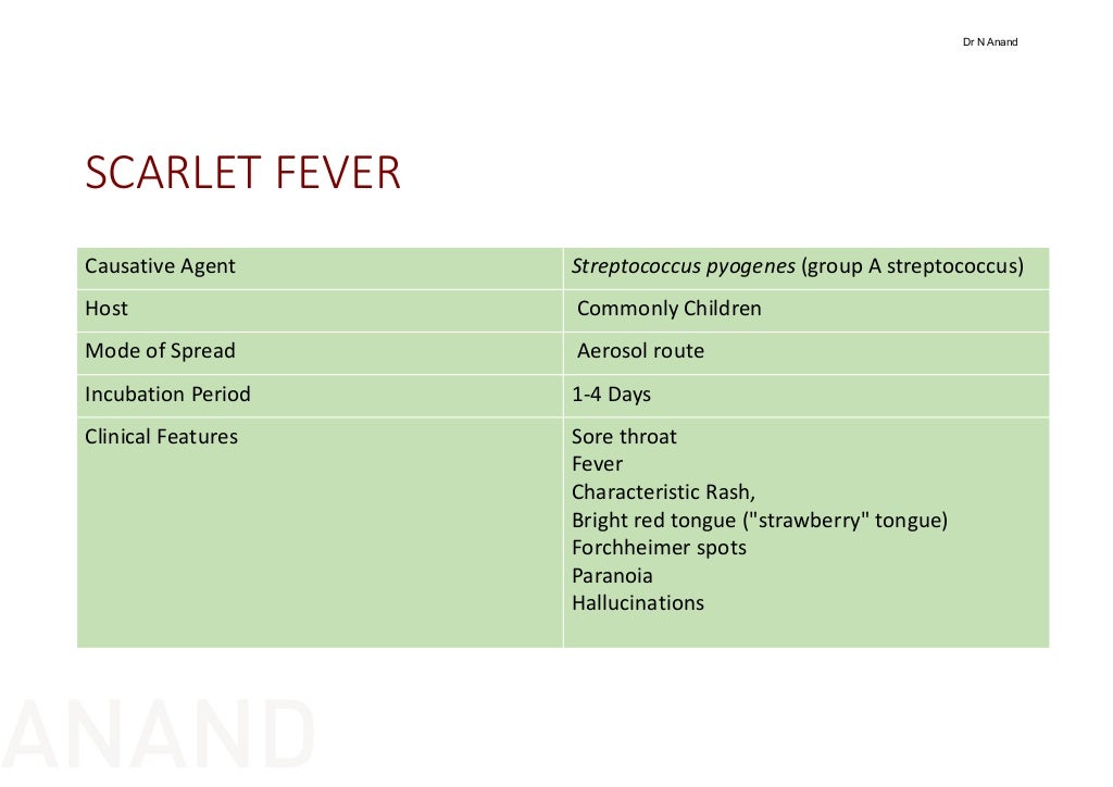 Fever With Rash