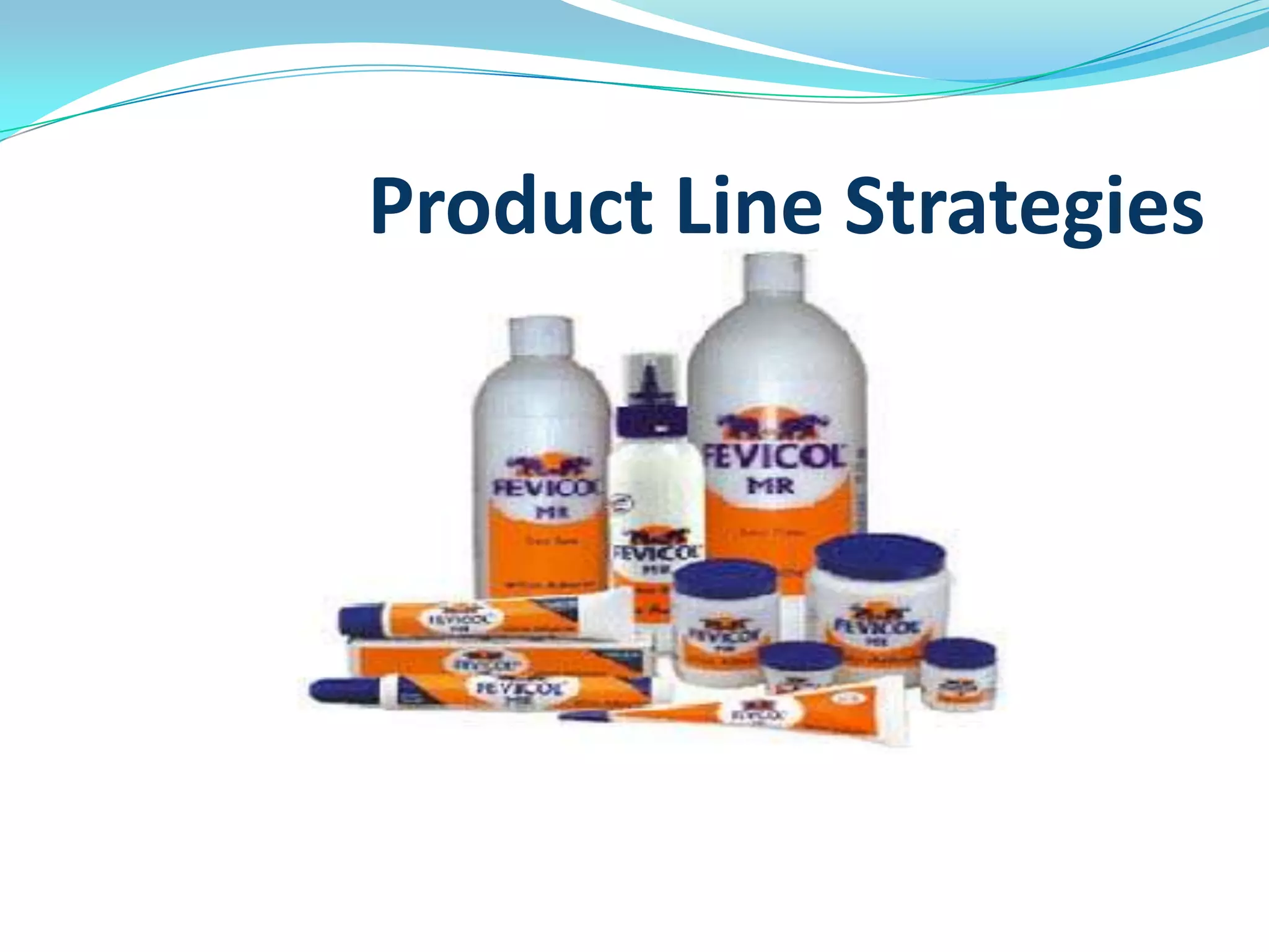 Product Line Strategies
 