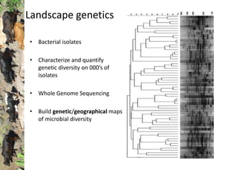 Landscape genetics
• Bacterial isolates
• Characterize and quantify
genetic diversity on 000’s of
isolates
• Whole Genome Sequencing
• Build genetic/geographical maps
of microbial diversity
 