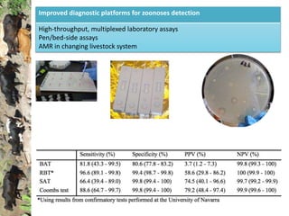 Studies of zoonoses in dynamic livestock systems in Kenya