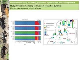 Studies of zoonoses in dynamic livestock systems in Kenya