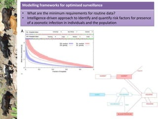 Studies of zoonoses in dynamic livestock systems in Kenya